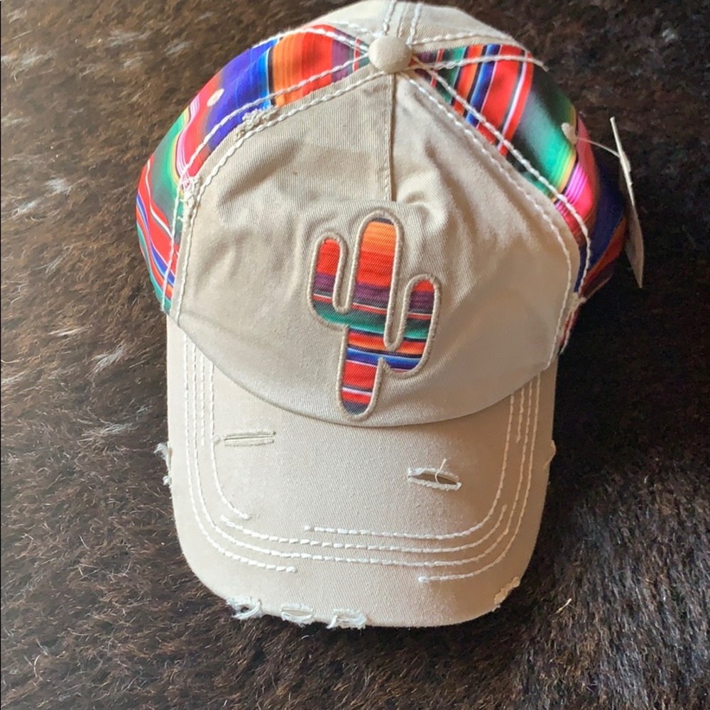 Cactus serape hat